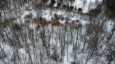 4297 Dinser Lane Webster Township MI 48189