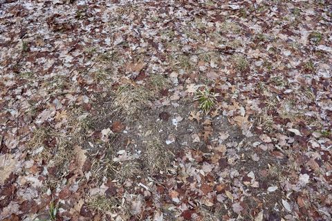 Tiny photo for 5717 Maple Ridge Road, Clayton Township, MI 48659 (MLS # 68026010068)