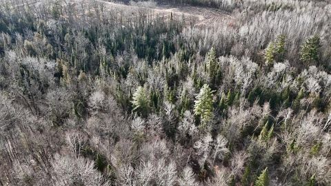 Tiny photo for 5717 Maple Ridge Road, Clayton Township, MI 48659 (MLS # 68026010068)