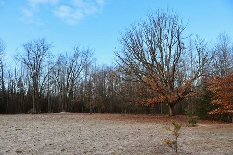 Tiny photo for 5717 Maple Ridge Road, Clayton Township, MI 48659 (MLS # 68026010068)