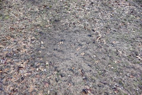 Tiny photo for 5717 Maple Ridge Road, Clayton Township, MI 48659 (MLS # 68026010068)