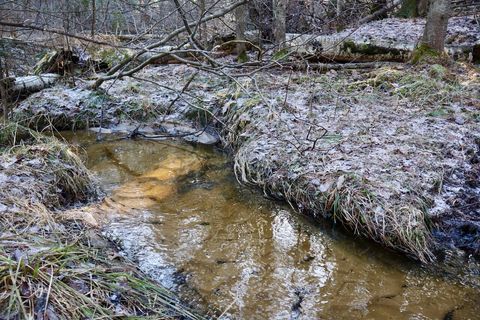 Tiny photo for 5717 Maple Ridge Road, Clayton Township, MI 48659 (MLS # 68026010068)