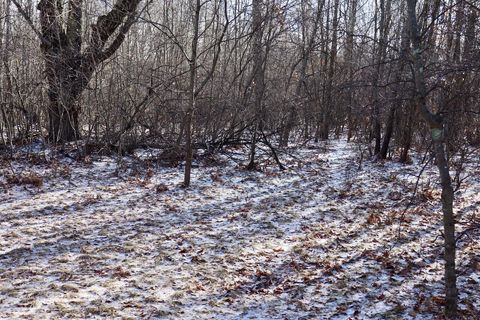 Tiny photo for 5717 Maple Ridge Road, Clayton Township, MI 48659 (MLS # 68026010068)