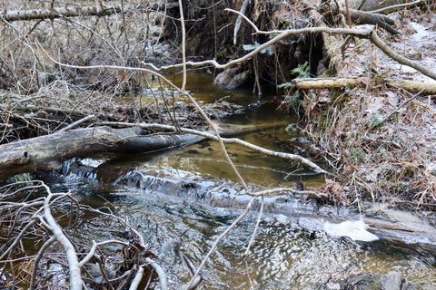 Tiny photo for 5717 Maple Ridge Road, Clayton Township, MI 48659 (MLS # 68026010068)