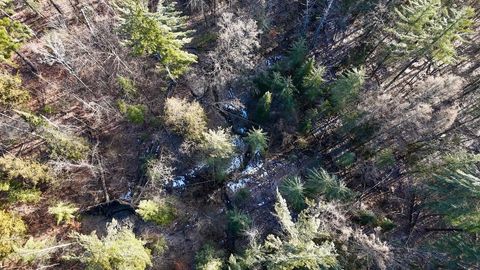 Tiny photo for 5717 Maple Ridge Road, Clayton Township, MI 48659 (MLS # 68026010068)