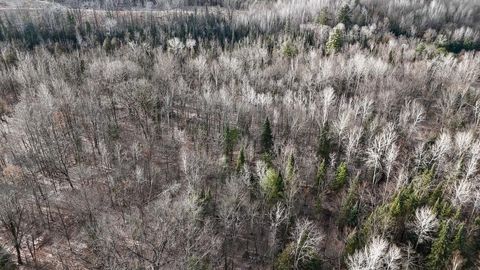 Tiny photo for 5717 Maple Ridge Road, Clayton Township, MI 48659 (MLS # 68026010068)