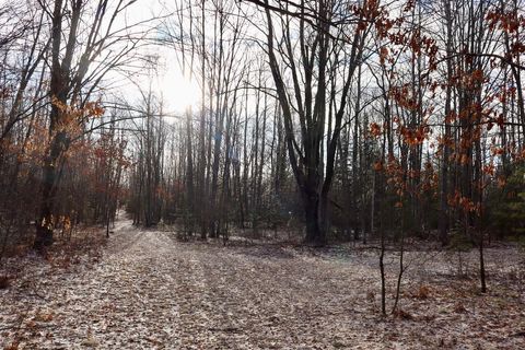 Tiny photo for 5717 Maple Ridge Road, Clayton Township, MI 48659 (MLS # 68026010068)