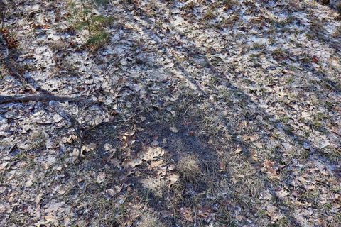 Tiny photo for 5717 Maple Ridge Road, Clayton Township, MI 48659 (MLS # 68026010068)