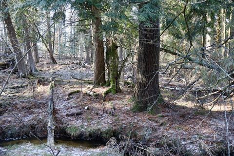 Tiny photo for 5717 Maple Ridge Road, Clayton Township, MI 48659 (MLS # 68026010068)