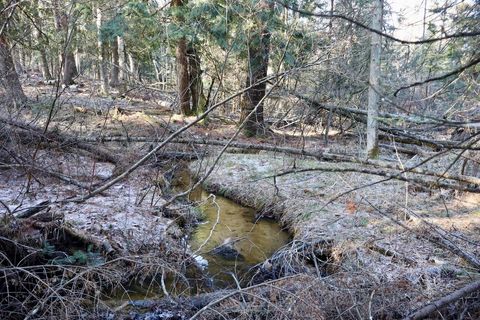 Tiny photo for 5717 Maple Ridge Road, Clayton Township, MI 48659 (MLS # 68026010068)