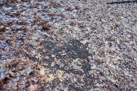 Tiny photo for 5717 Maple Ridge Road, Clayton Township, MI 48659 (MLS # 68026010068)