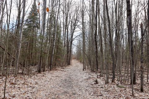 Tiny photo for 5717 Maple Ridge Road, Clayton Township, MI 48659 (MLS # 68026010068)