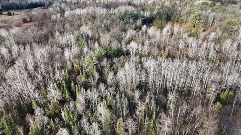 Tiny photo for 5717 Maple Ridge Road, Clayton Township, MI 48659 (MLS # 68026010068)