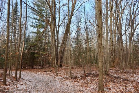 Tiny photo for 5717 Maple Ridge Road, Clayton Township, MI 48659 (MLS # 68026010068)