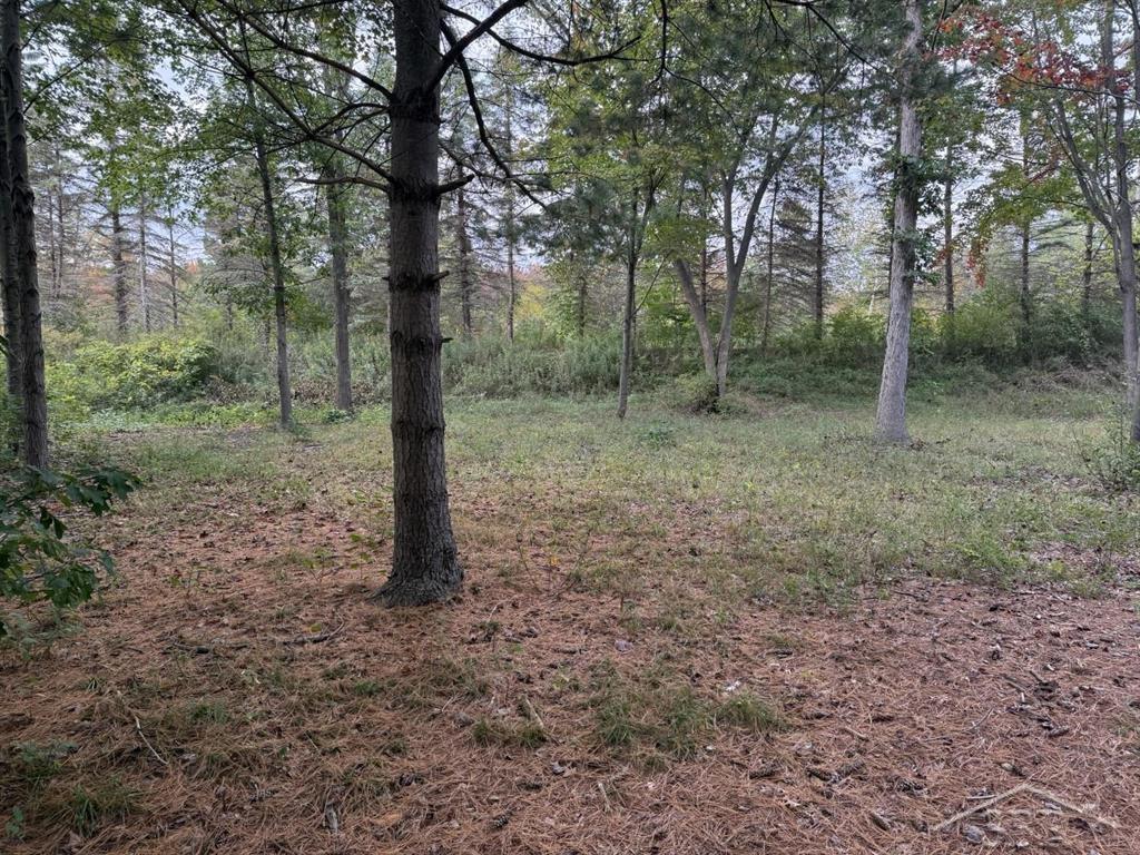 6210 Evergreen Court