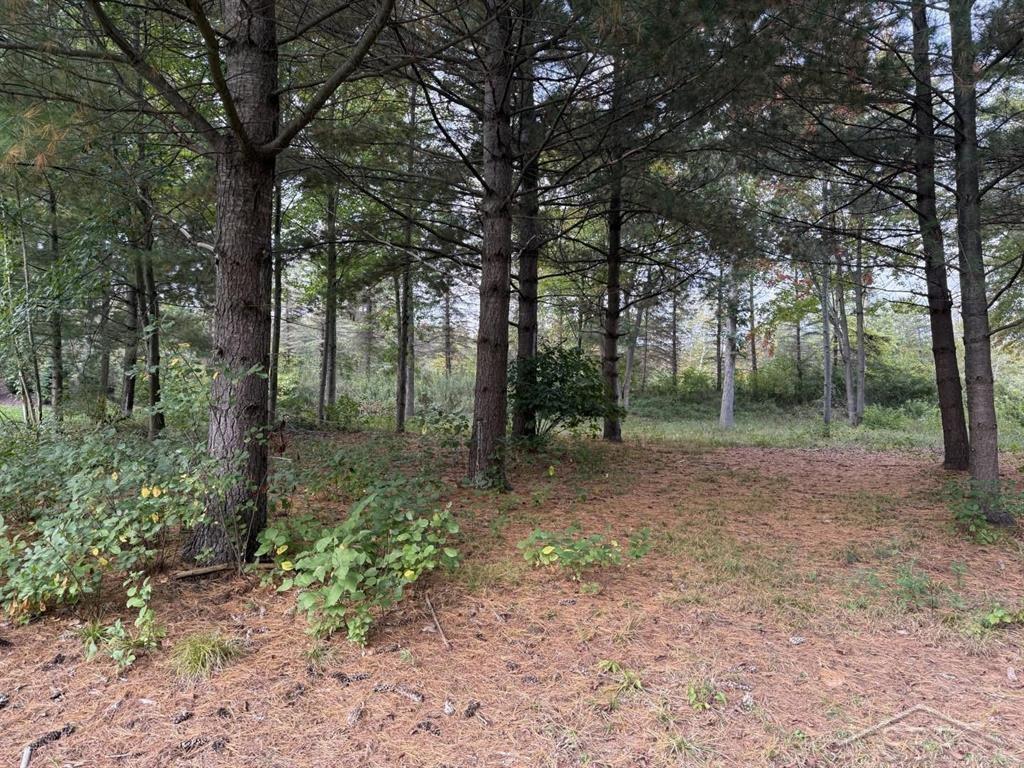 6210 Evergreen Court