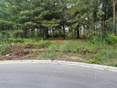 6210 Evergreen Court Midland City MI 48642