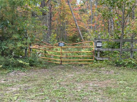 0 Aarons Road Albert Township MI 49756