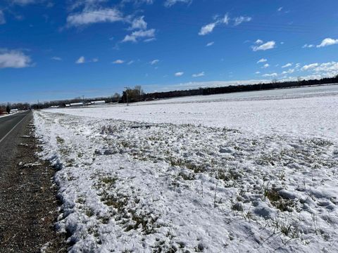 0 Swan Creek Road Fremont Township MI 48626