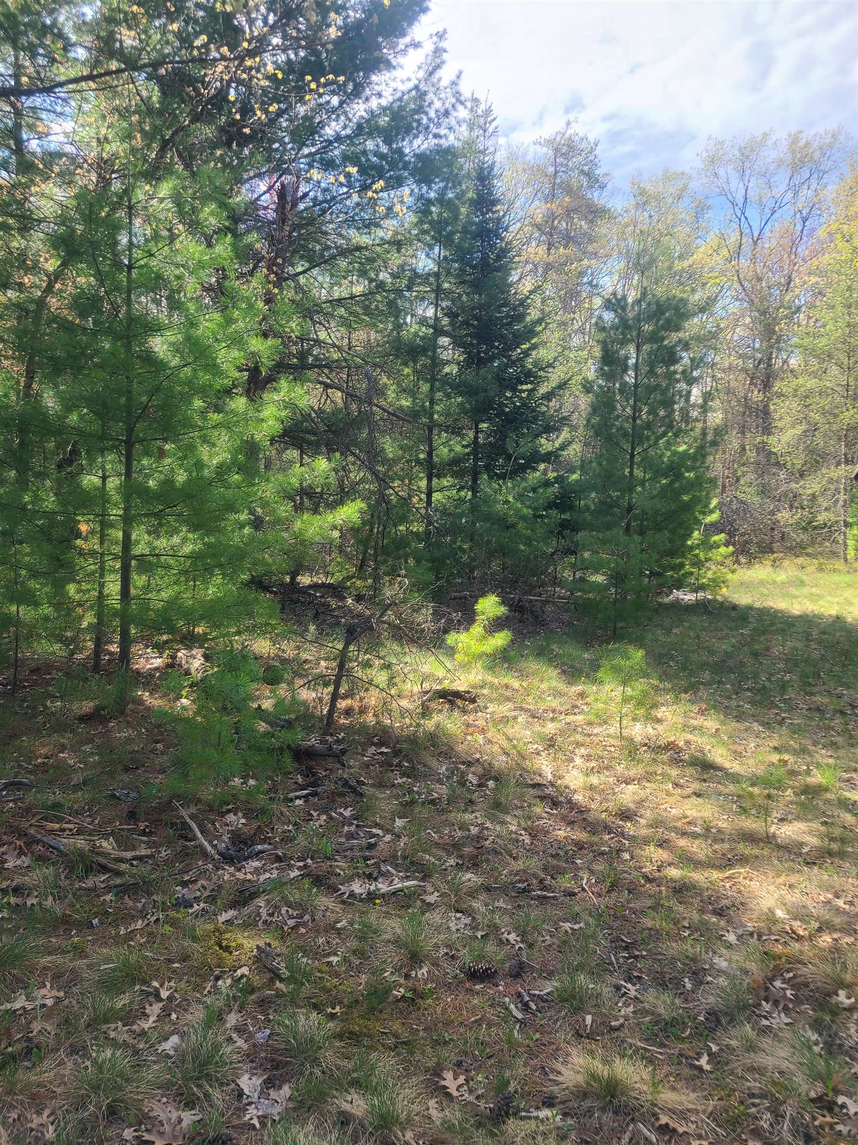 3856 Old State Road