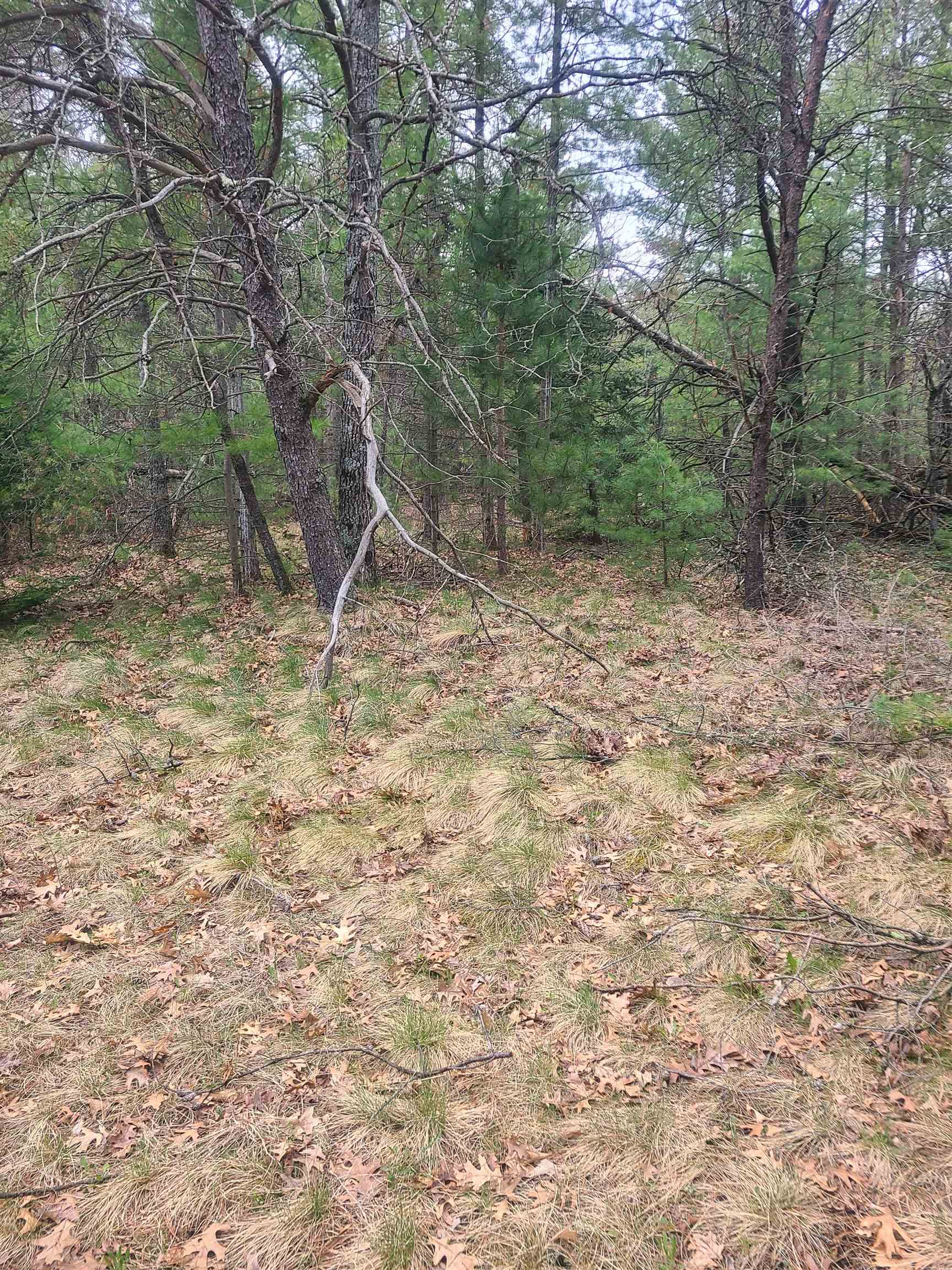 3856 Old State Road
