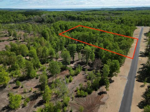 1371 E Solaris Way Kasson Township MI 49664