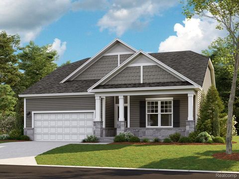 27119 Silo Drive Saline City MI 48176