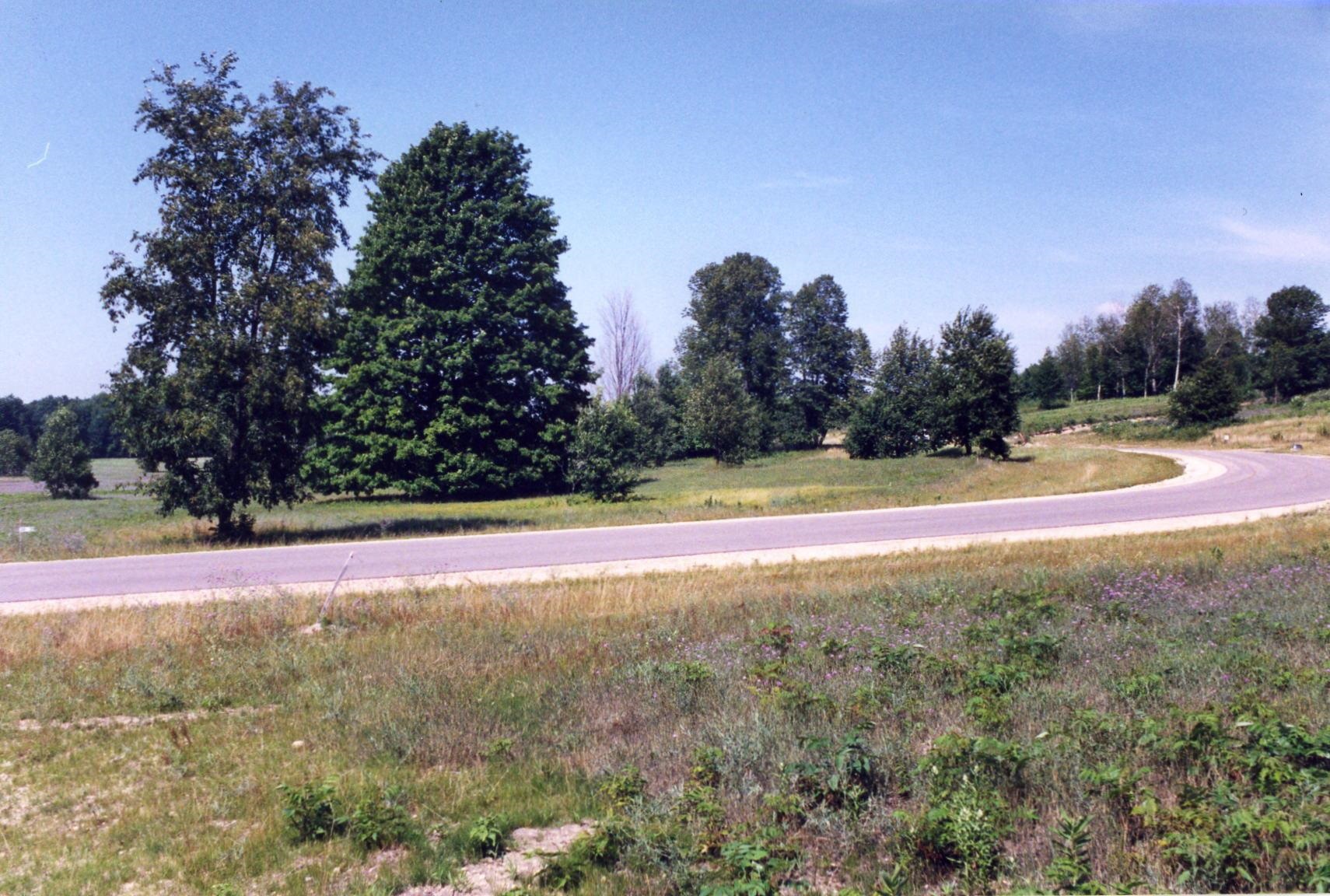 Lot 39 Alden Meadows