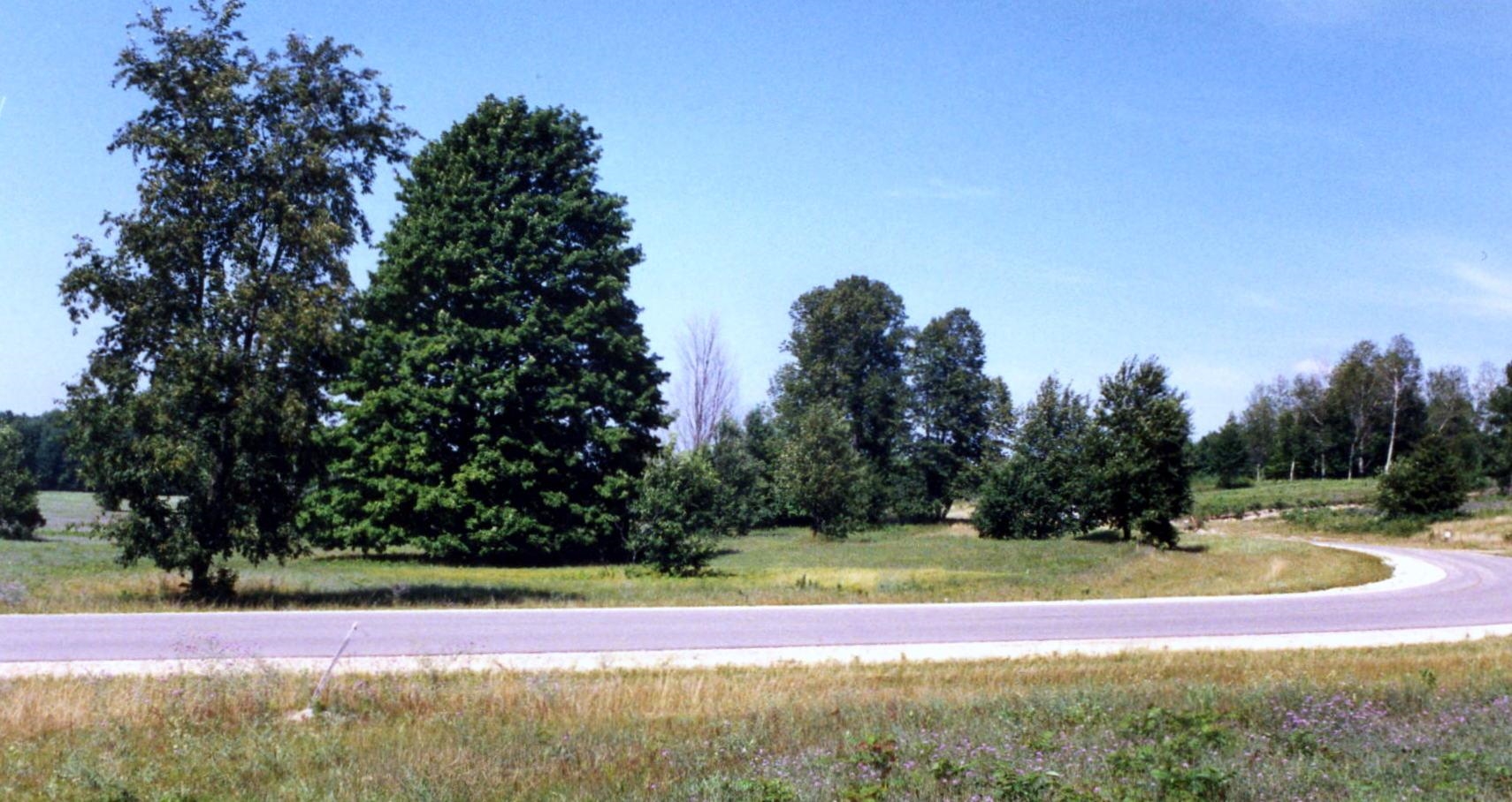 Lot 39 Alden Meadows