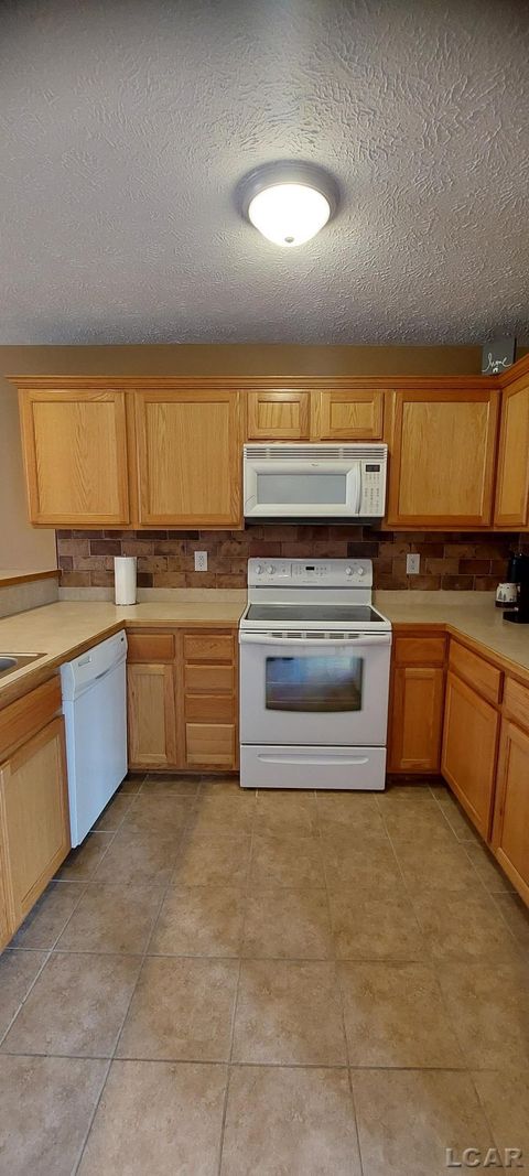 Tiny photo for 1571 MITCHELL Court, Raisin Township, MI 49221 (MLS # 56050201592)