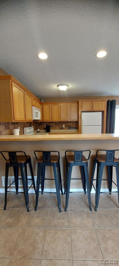 Tiny photo for 1571 MITCHELL Court, Raisin Township, MI 49221 (MLS # 56050201592)