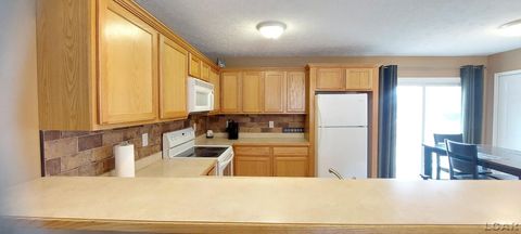 Tiny photo for 1571 MITCHELL Court, Raisin Township, MI 49221 (MLS # 56050201592)