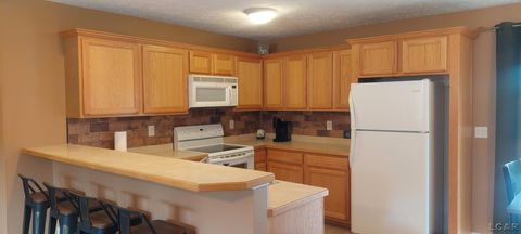 Tiny photo for 1571 MITCHELL Court, Raisin Township, MI 49221 (MLS # 56050201592)