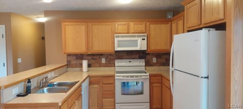 Tiny photo for 1571 MITCHELL Court, Raisin Township, MI 49221 (MLS # 56050201592)