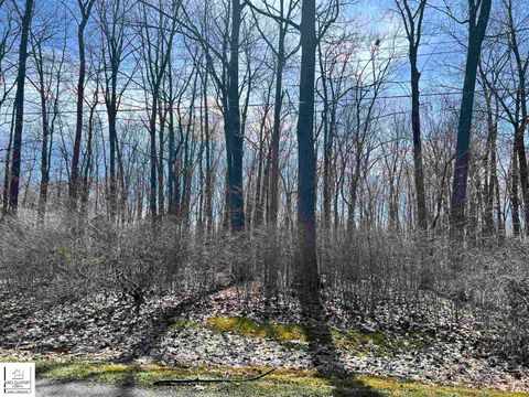 Schoolcraft Drive Davison Township MI 48423