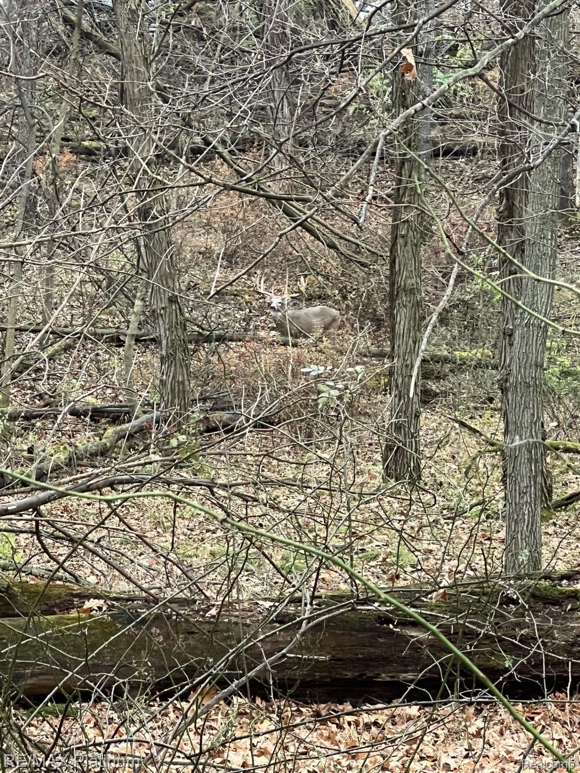 Howell, Michigan, 48843, United States, 5 Bedrooms Bedrooms, ,6 BathroomsBathrooms,Residential,Active,2027301