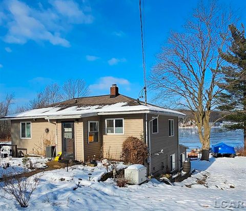 Photo of 1400 Lakeview Drive, Manchester Township, MI 49287 (MLS # 56050196405)