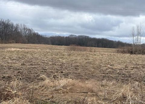 00 E Allen Road Oceola Township MI 48855