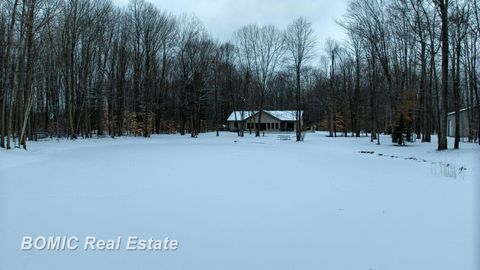 A home in VassarTownship_Tuscola