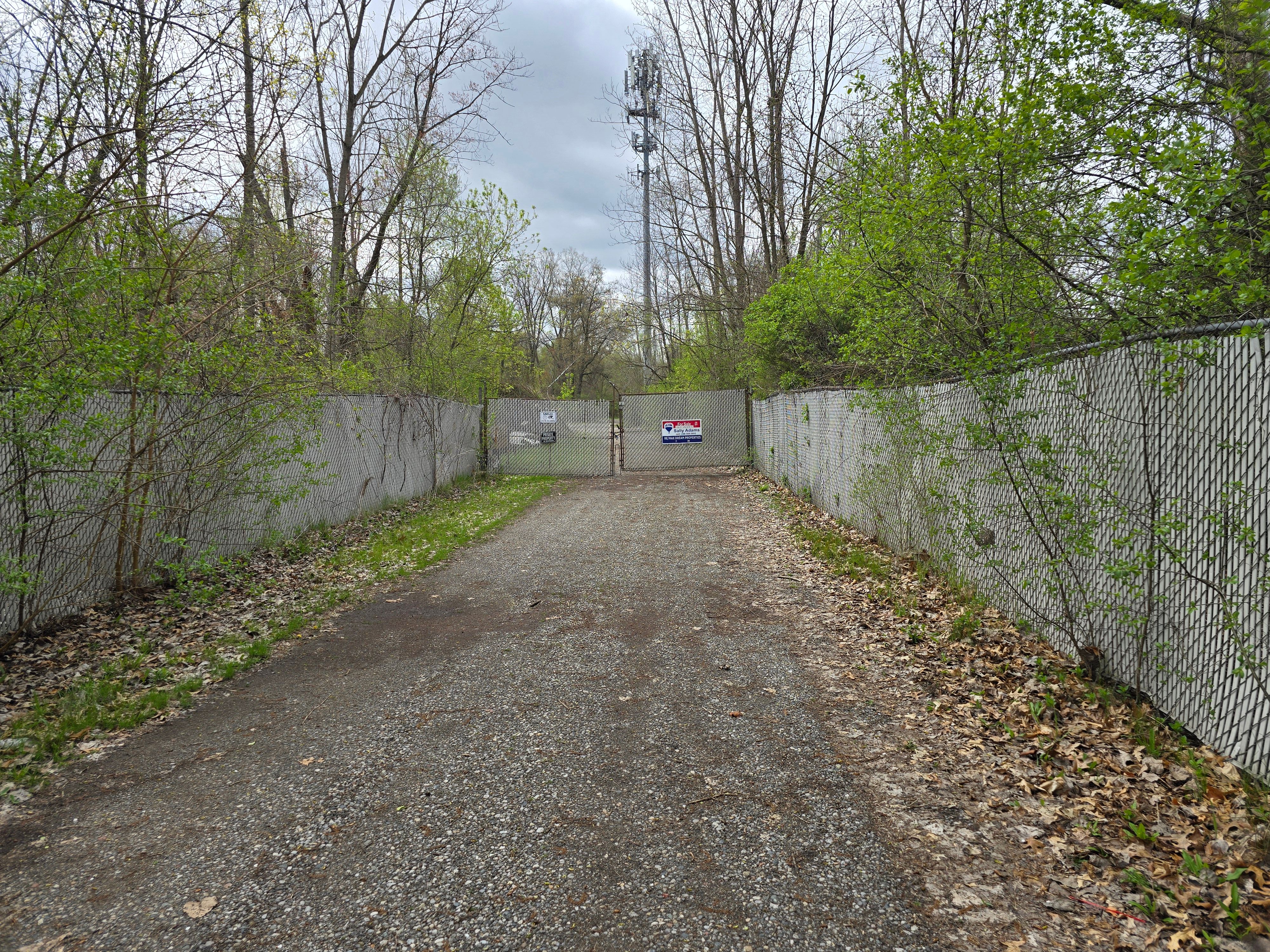 9885 CEDAR ISLAND Road