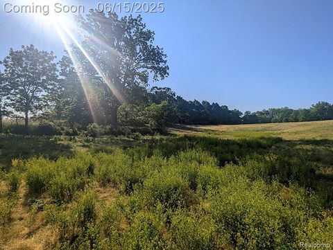 Parcel A - Rolston Road Argentine Township MI 48451