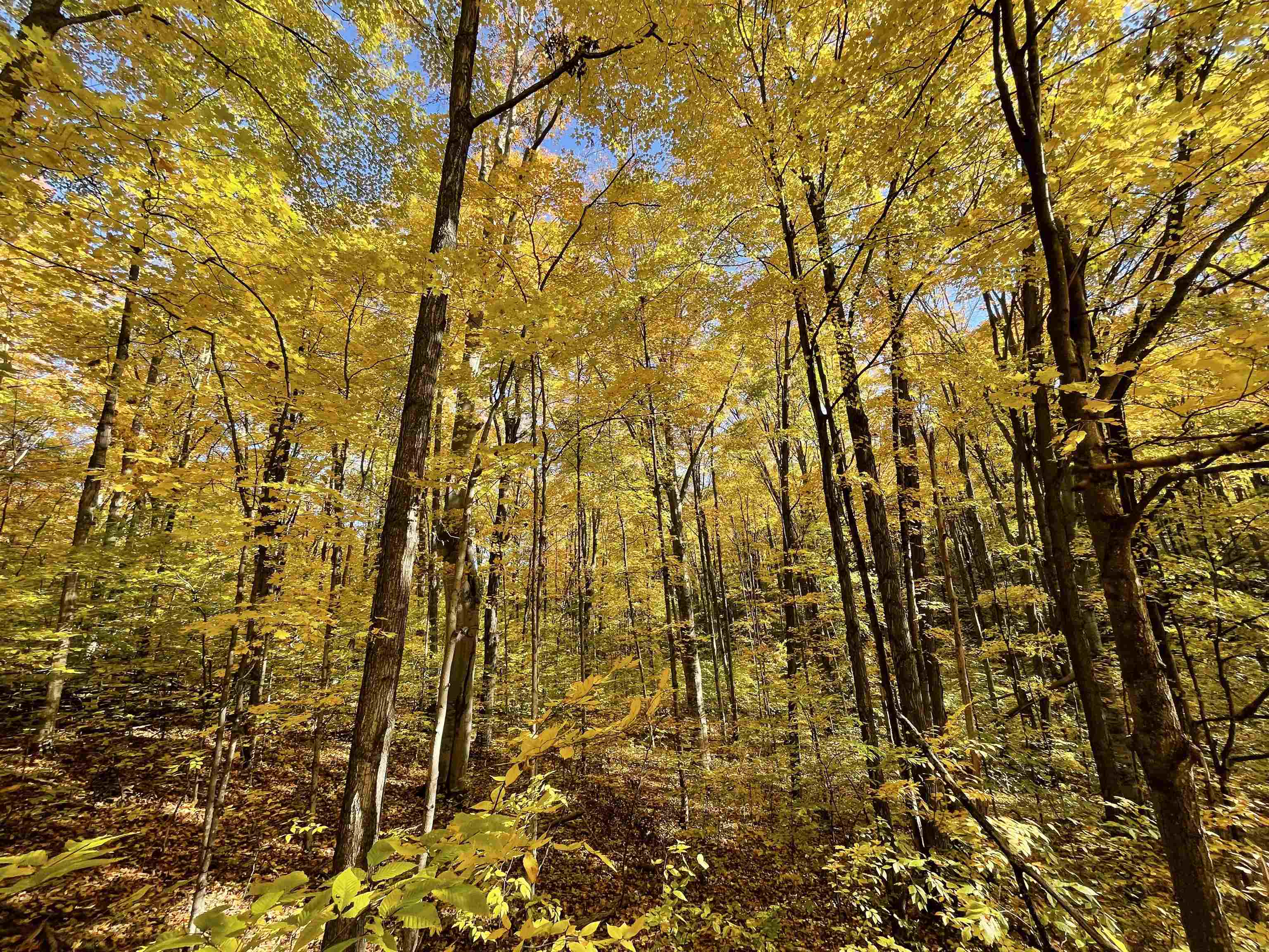 3037 Dockery Road, Nw