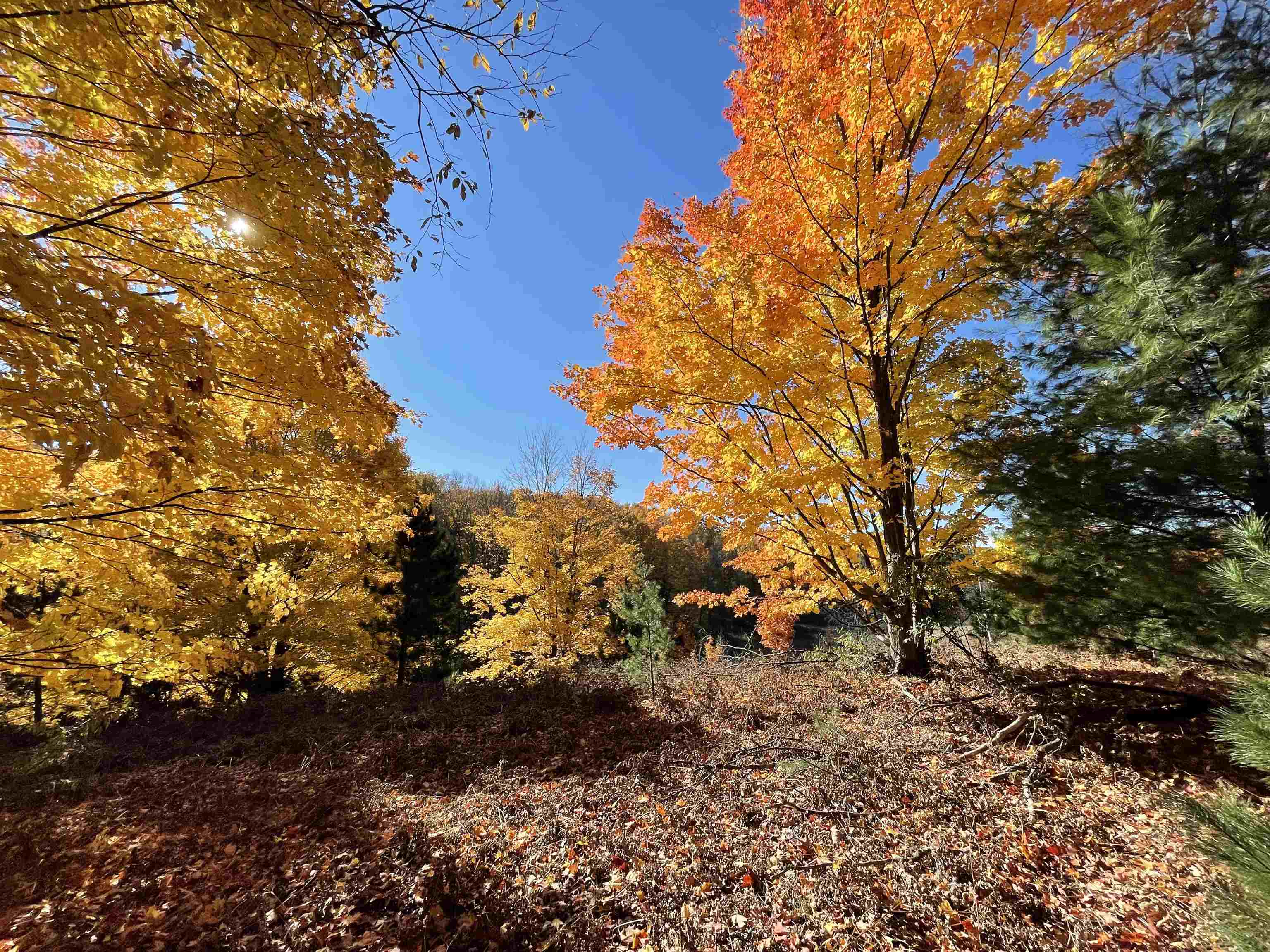 3037 Dockery Road, Nw