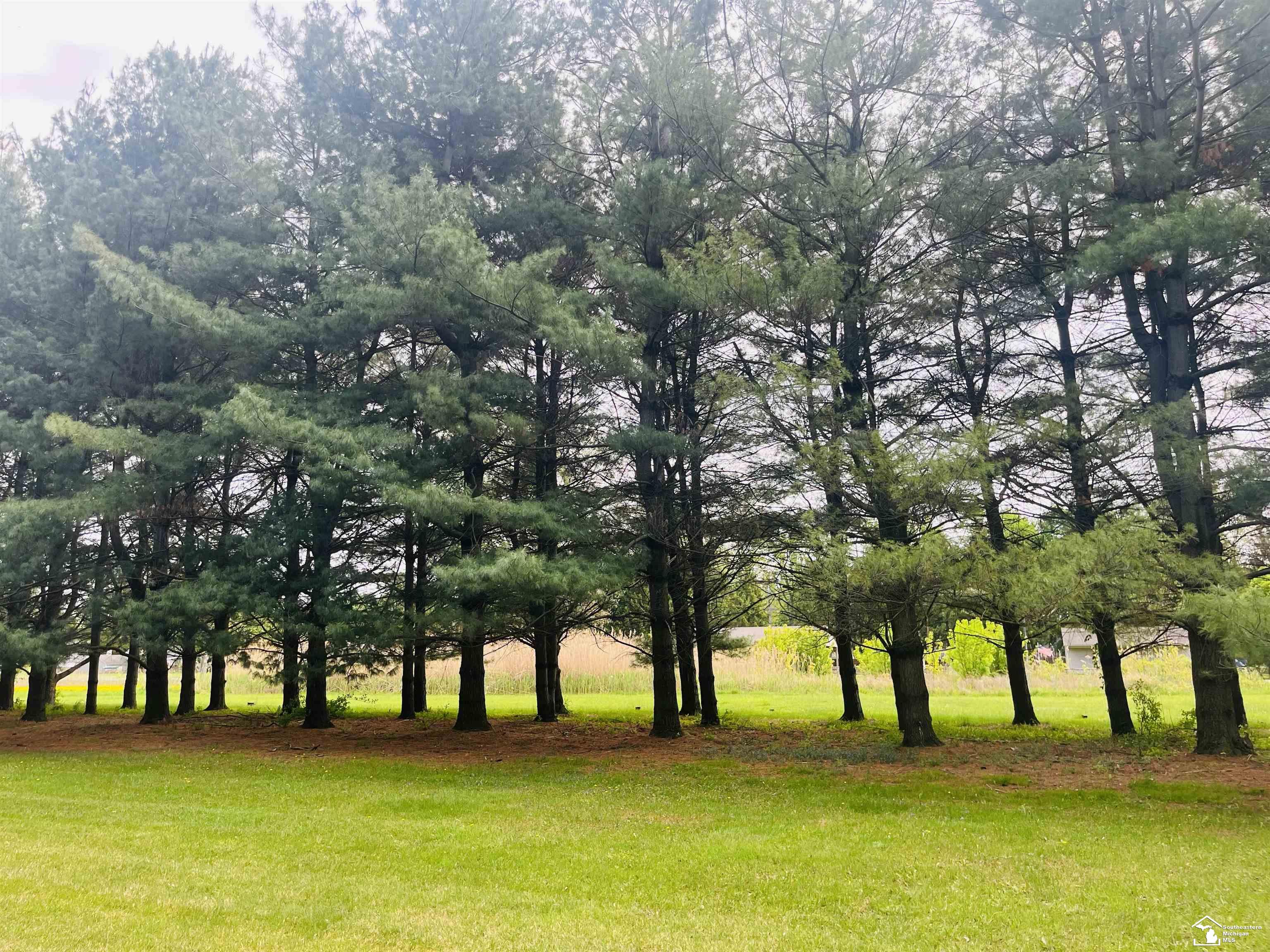 Whiteford Township, Michigan 49267, United States, 4 Bedrooms Bedrooms, ,2 BathroomsBathrooms,Residential,Pending,129617