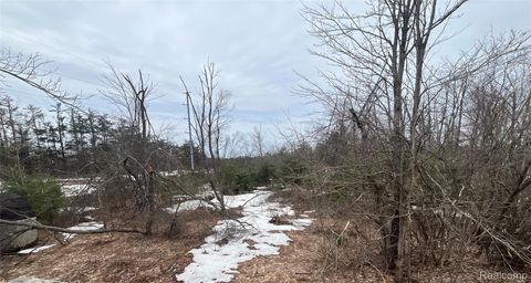 Lot 41 Altorf Strasse Livingston Township MI 49735