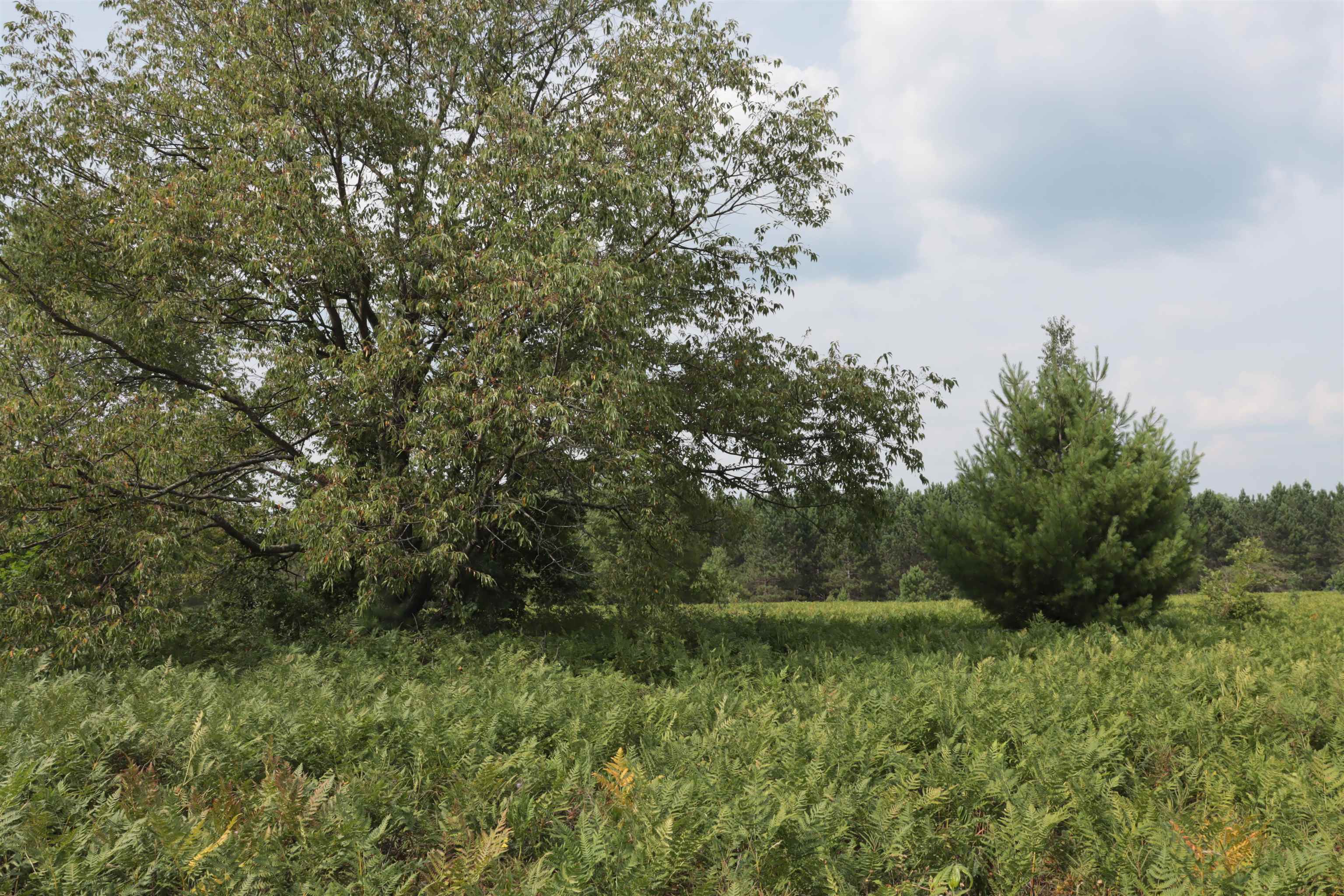 0 Country Acres Drive