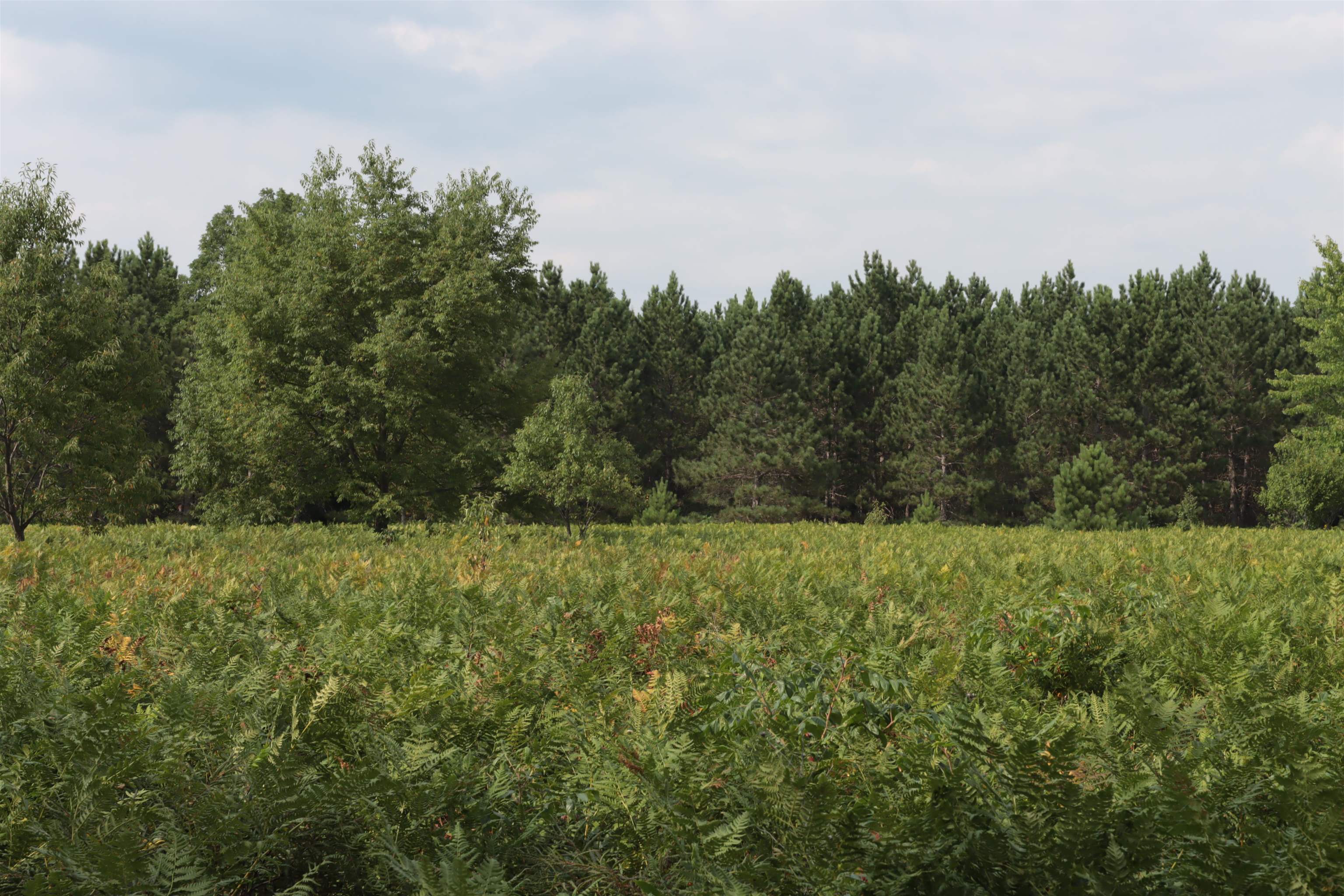 0 Country Acres Drive