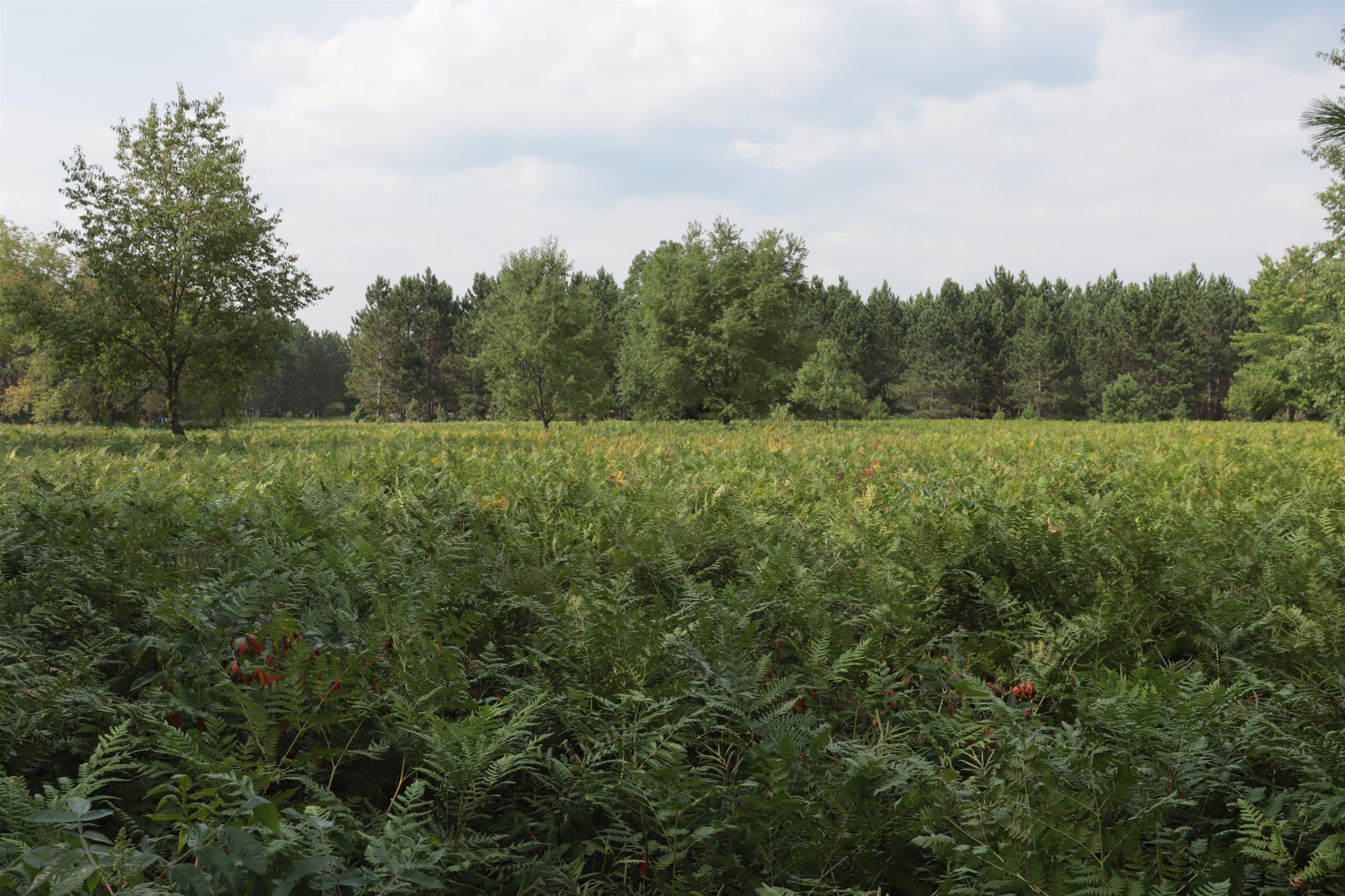 0 Country Acres Drive
