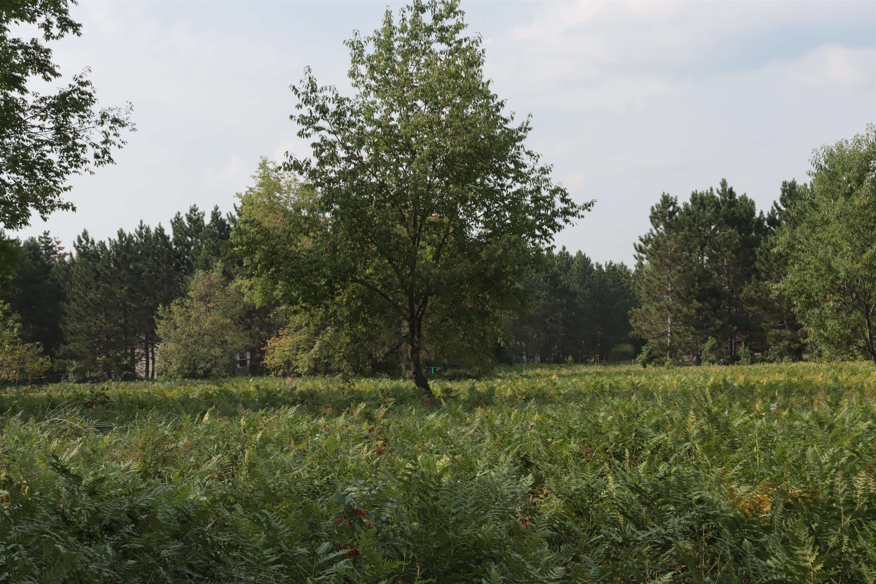 0 Country Acres Drive