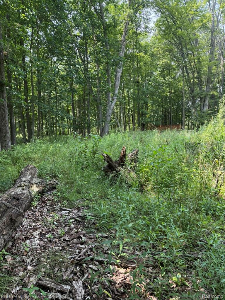 Oceola Township, Michigan 48855, United States, ,Land,Active,176210